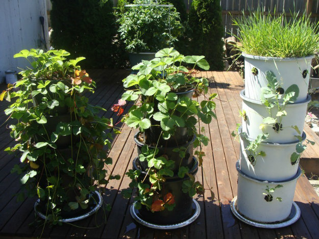 Vertical Gardening - Pots stacked on top of one another, with hole on the sides for plants